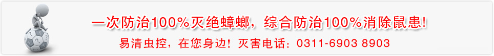 服務(wù)支持BANNER
